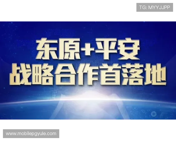 AG利来平台安全保障措施全面介绍保障玩家资金与信息安全